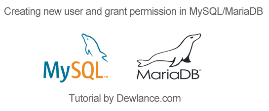 Creating new user and grant permission in MySQL/MariaDB – in 2022